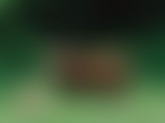 Ganado pastando en sistema regenerativo con buena condición corporal