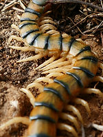 Image by Marcus Lange