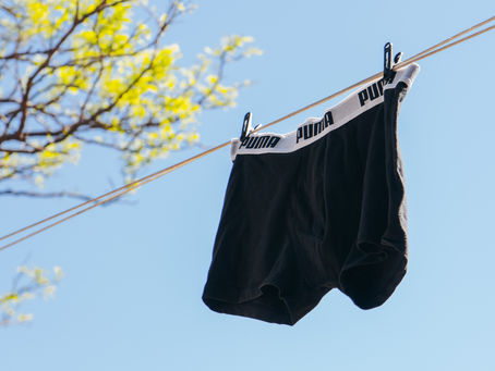 Boxers or Briefs?