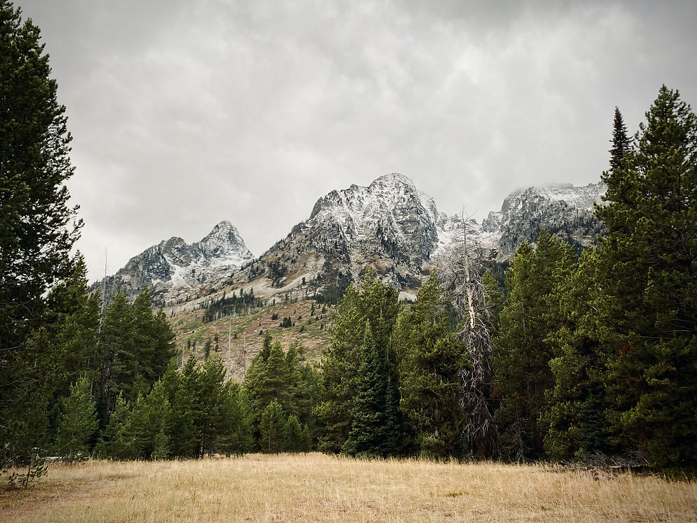 Wyoming Landscape Image by Kellie Klumb
