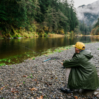 tillamook