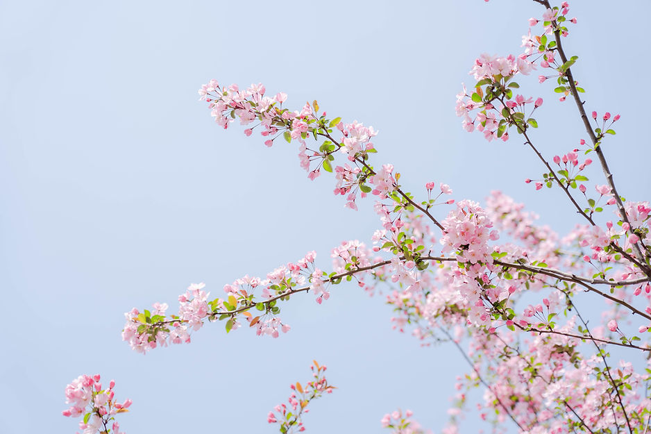 Image by Akira