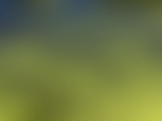 Southern California’s Toxic Algal Bloom & What Surfers Need to Know