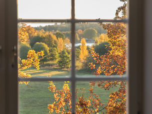 What Seasonal Awareness Teaches About Patience