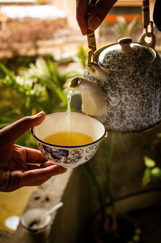 Jasmine | Herbs Make Scents