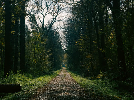 Unlocking the Power of Presence: How Mindful Breathing Can Transform Your Daily Life