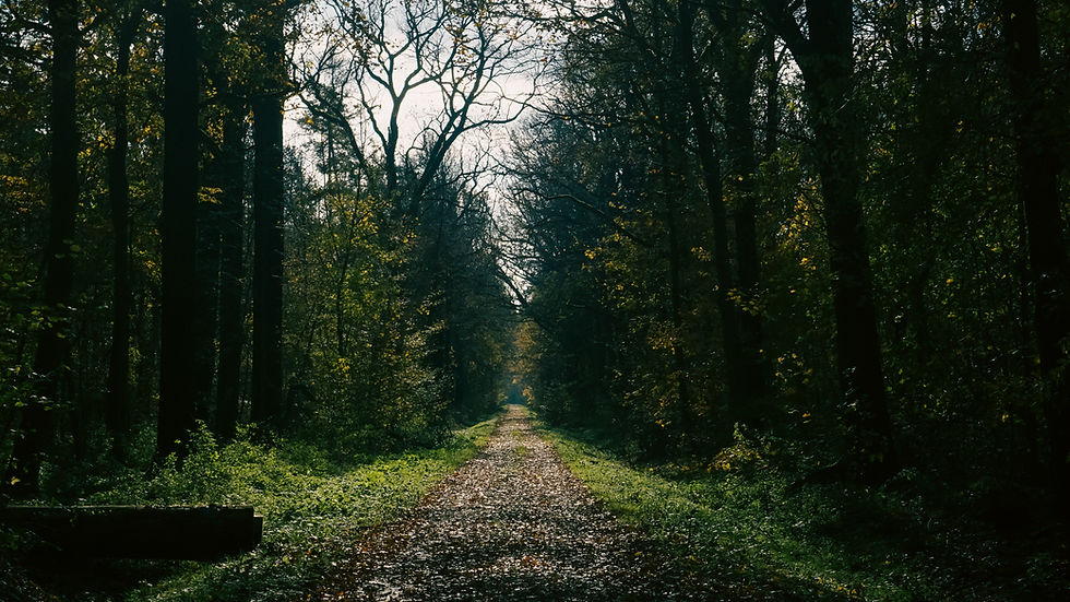Image by Max Böhme