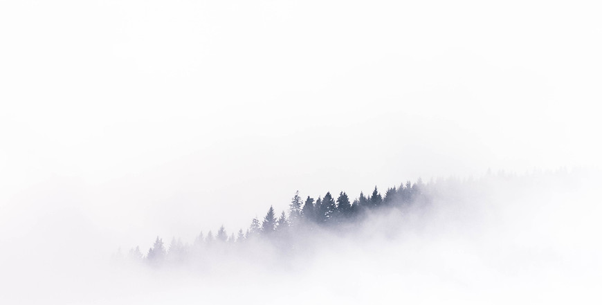 Image by Mads Schmidt Rasmussen