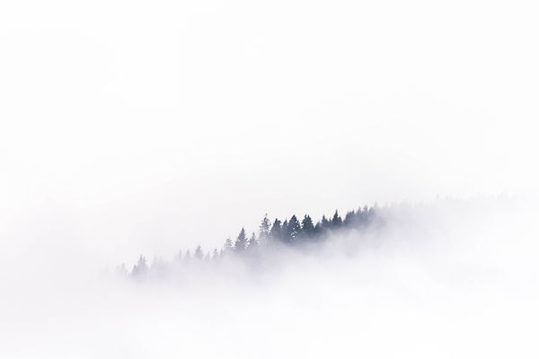 Image by Mads Schmidt Rasmussen