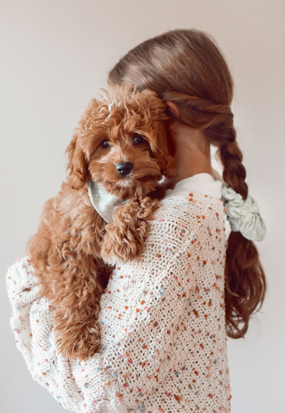 family pet