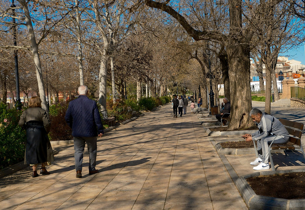 Widows and Widowers Event