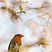 Image by Gelu Iancu