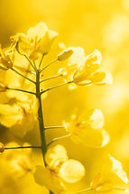 Image de Michael Held