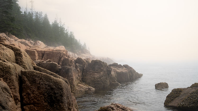 Image by Derek Laliberte