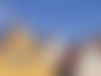 Vue en plongée d’une toiture en tuiles rouges avant traitement