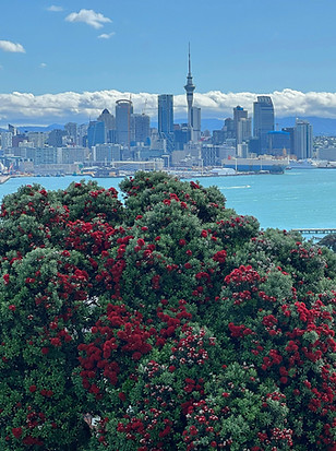 Auckland City