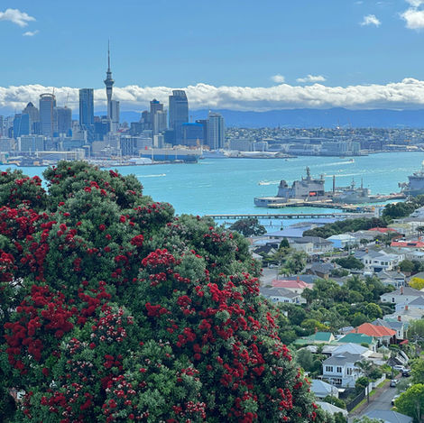 Auckland City
