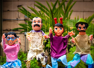 Image by Evan Fitzer