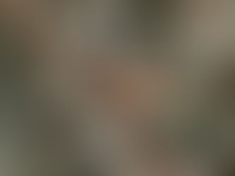 Supreme Humility and Righteous Exaltation (Philippians 2:8-9)