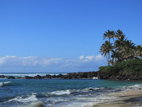 2025 Oahu Real Estate Trends: Why West Oahu Is the Place to Watch