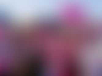 Best Breast Cancer Events to Attend in Florida in October 2024