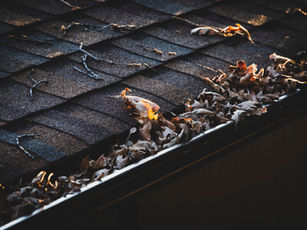 Gutter cleaning vs. costly repairs: What Cambridge homeowners need to know