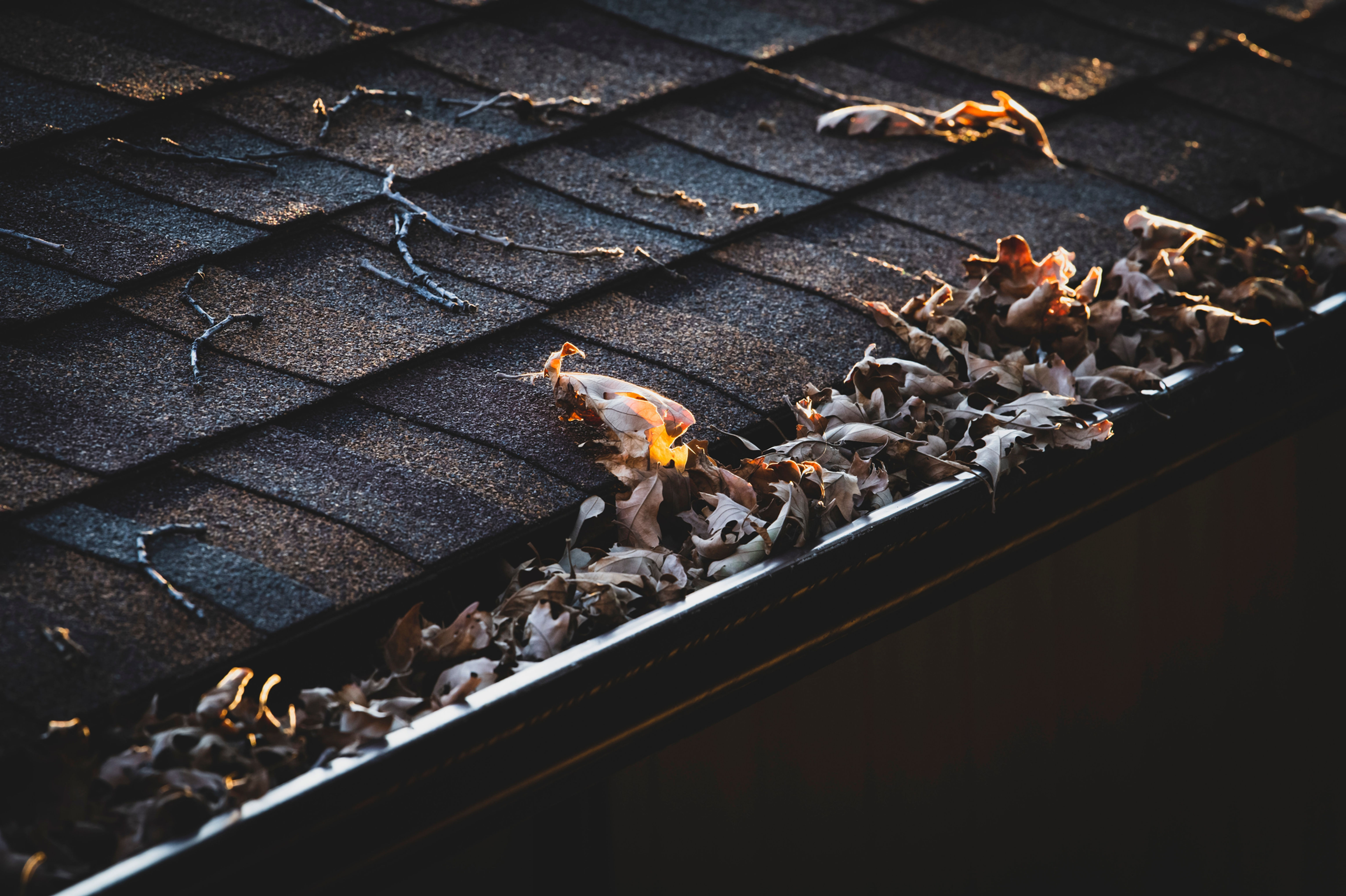 Checklist - Roofs, Gutters, Downspouts Maintenance