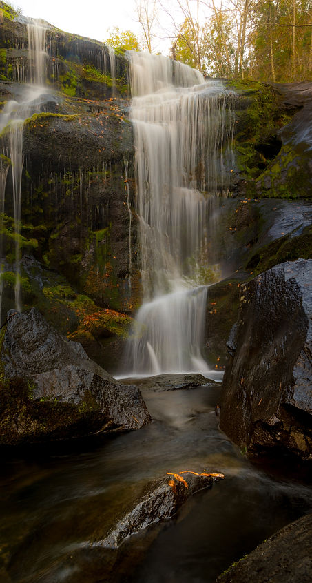Image by Nathan Anderson