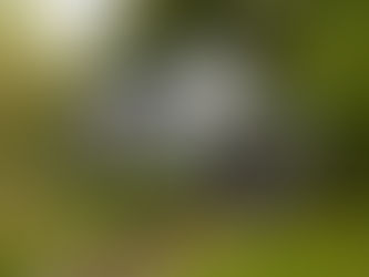 How to Paint Exterior Wooden Shingles and Clapboard Siding