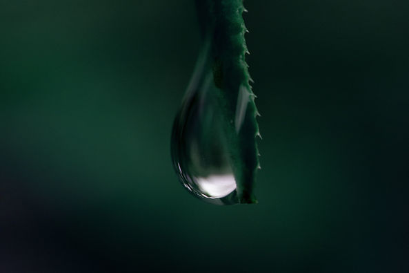 Image by Iván Díaz