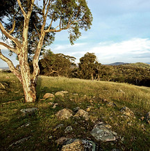 Image by Michael