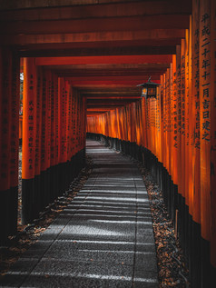 Image de D J