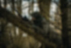 Image by Dominik Sostmann
