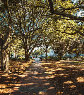 Image by Diane Picchiottino