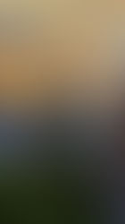 Hotel Movich Pereira: el ícono cinco estrellas del Eje Cafetero