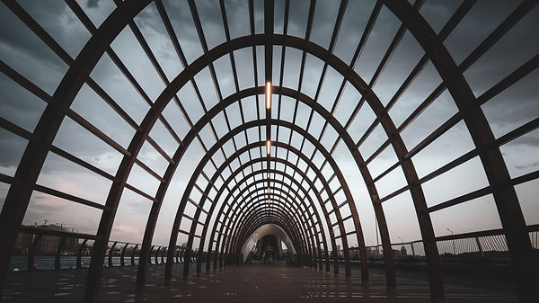 Image by Sam Moqadam