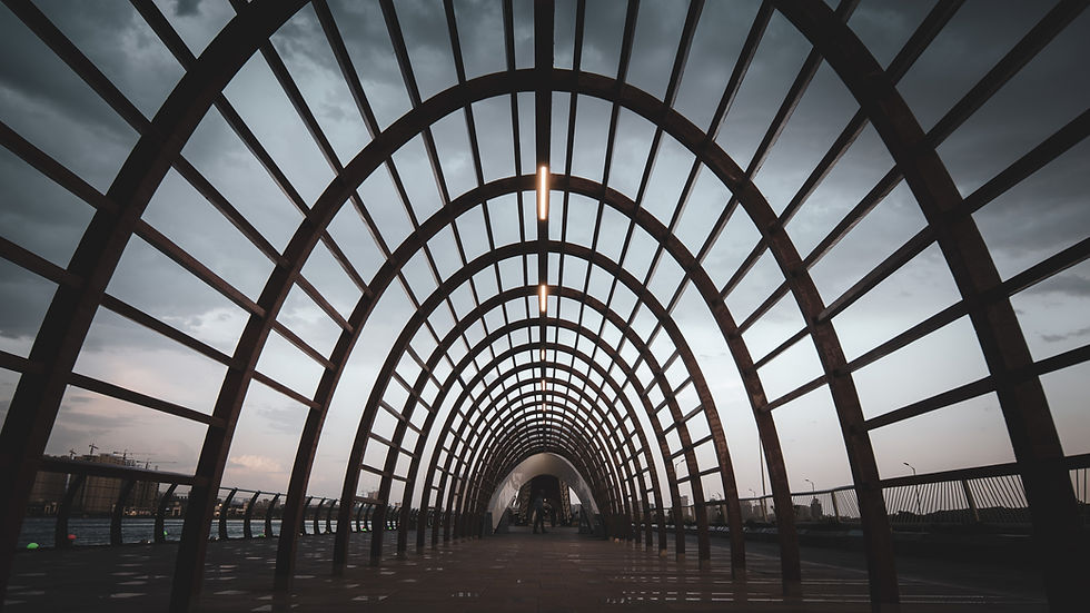 Image by Sam Moqadam