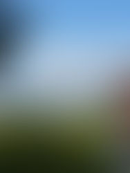 日本の魅力を海外に発信する方法:世界に伝わるストーリーづくりのコツ