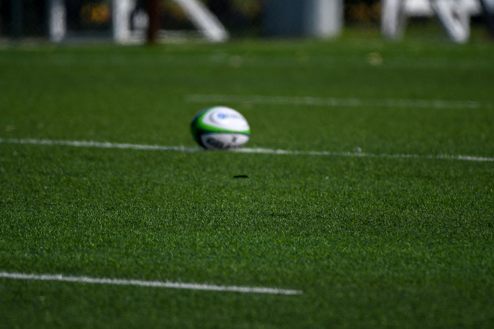 Rugby pitch sports turf services by CM Gardens