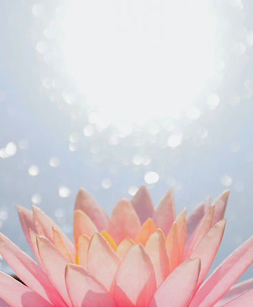 Wellness providers supporting clients through massage, coaching, and energy work