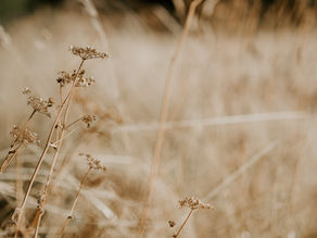 Notes from St. Ignatius on How to Navigate Scruples and Temptations from the Enemy
