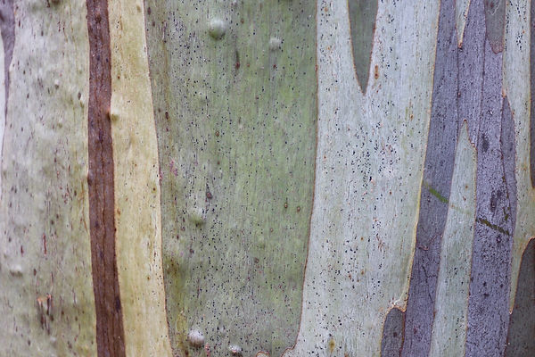 Image de Christian Bass