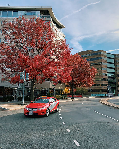 Office in Fairfax, Virginia