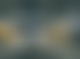 Vorsicht beim funktionalen Pauschalvertrag! - Geschuldet sind sämtliche zweckdienlichen Leistungen!