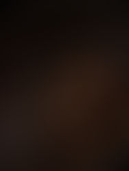 LIFE STYLE ALA RASULULLAH Shallallahu ‘alaihi wa sallam