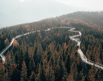 Image by Radoslav Bali
