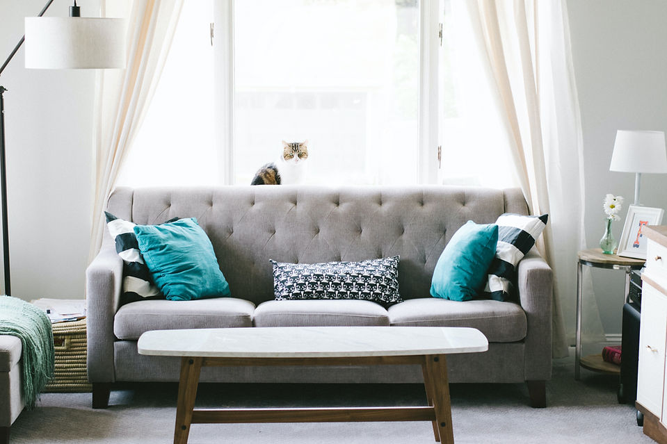 f5 carpet cleaning sofa