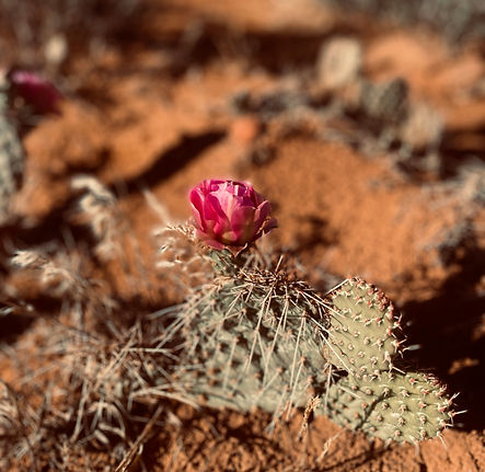 Image by Brice Cooper