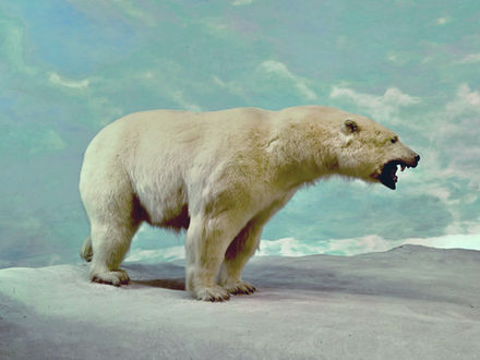 When change feels terrible