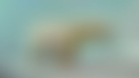 When change feels terrible